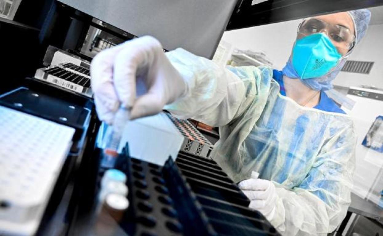 Datos de casos activos de Covid-19 en cada zona básica de salud