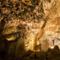 Imagen - La cueva que también cuenta con un curso activo de espeleología que tiene su salida en las Hoces de Vegacervera