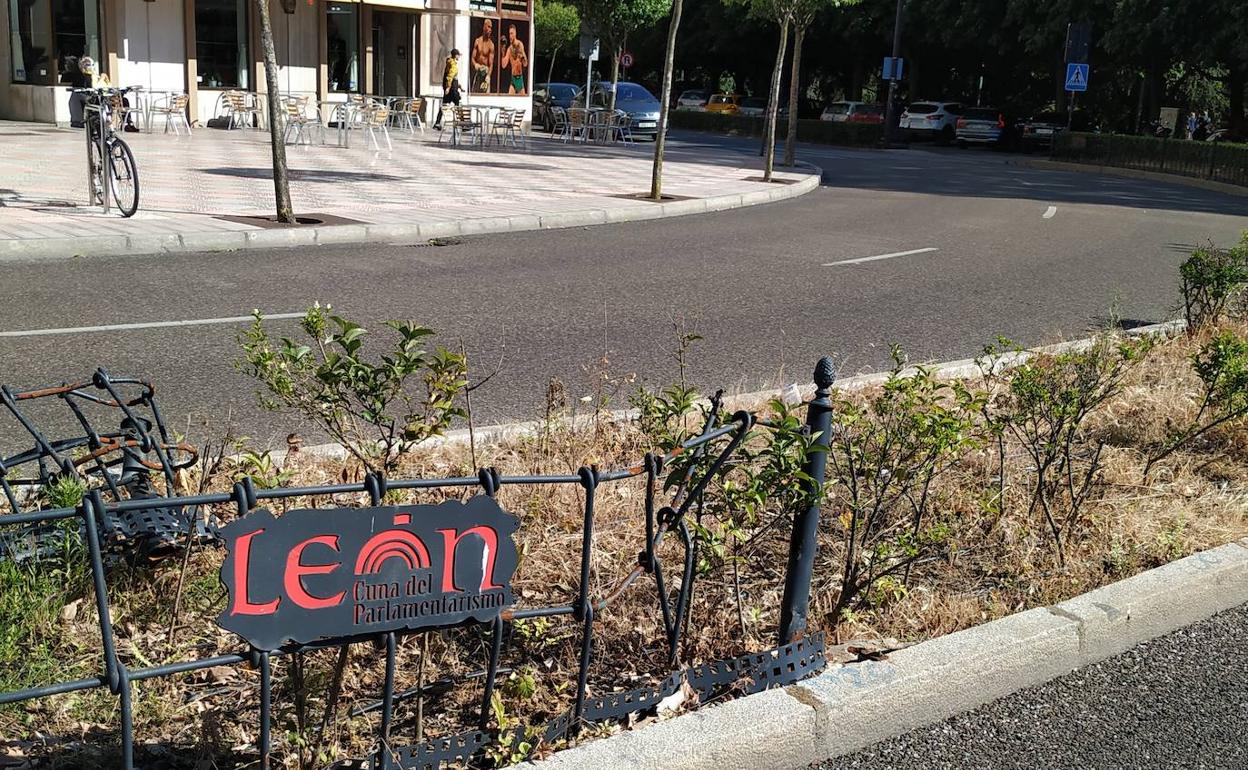 Mediana de la Condesa. 