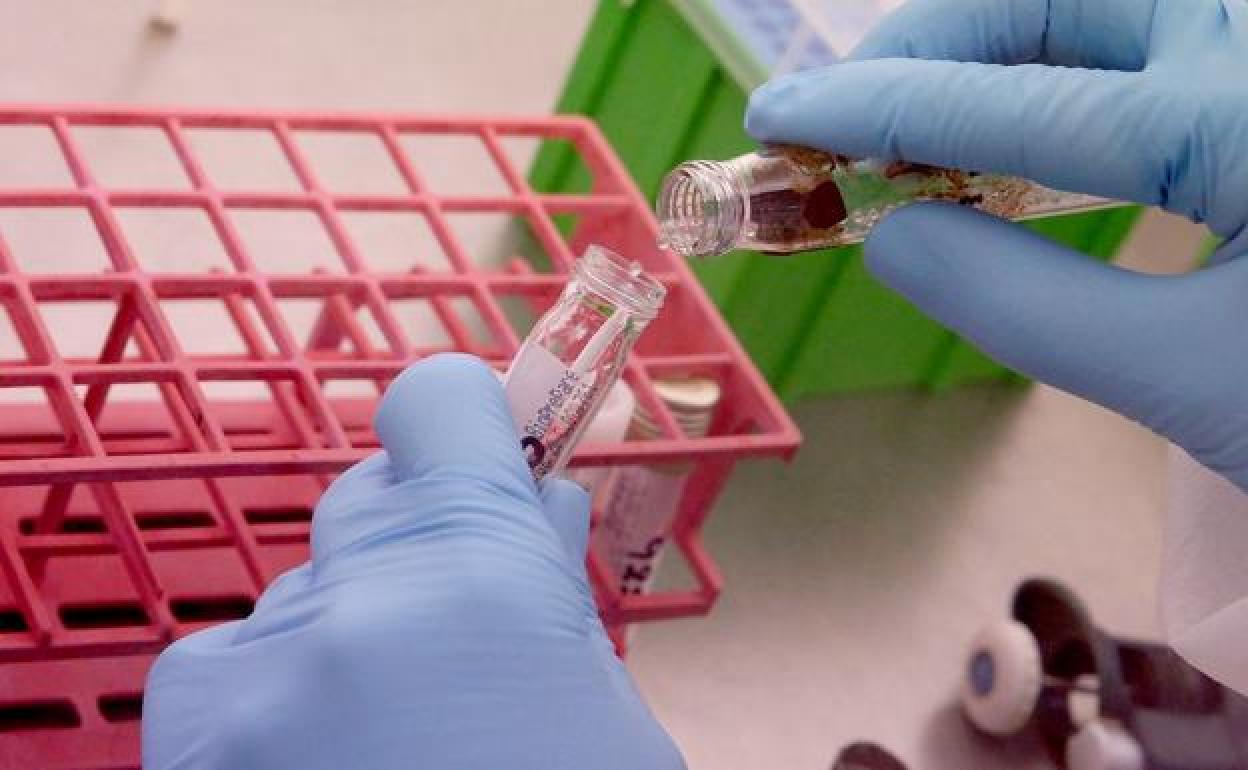 Un sanitario desempeña su trabajo en un laboratorio. 