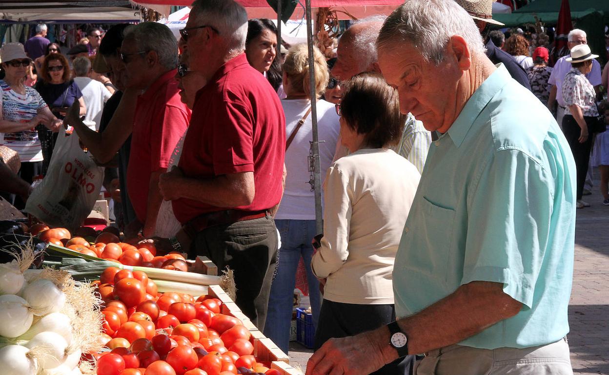 Feria del Tomate de Mansilla de las Mulas.