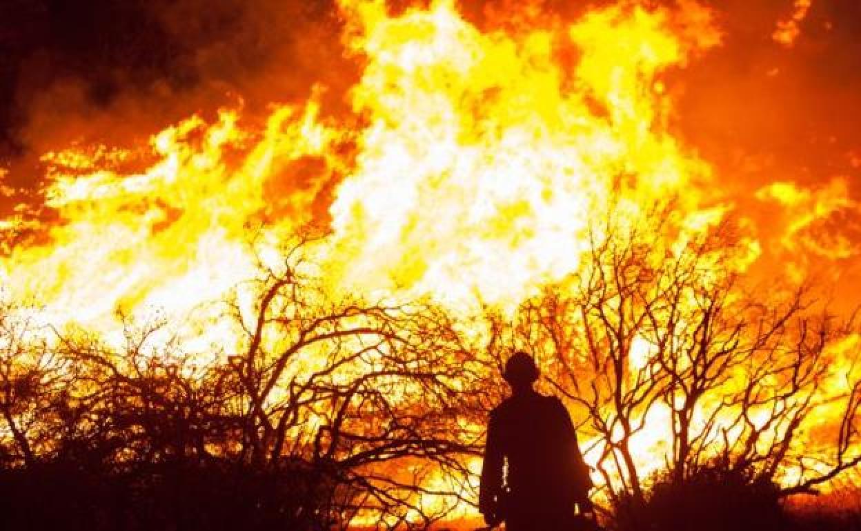 Imagen de archivo de un incendio forestal. 