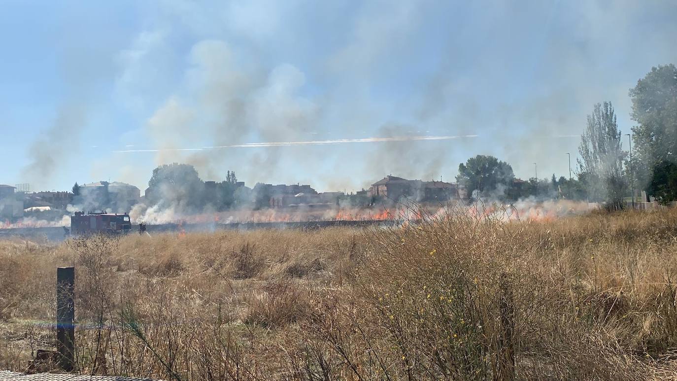 Una dotación de Bomberos de la capital leonesa ha tenido que intervenir para sofocar las llamas, que han arrasado la maleza de la parcela. 