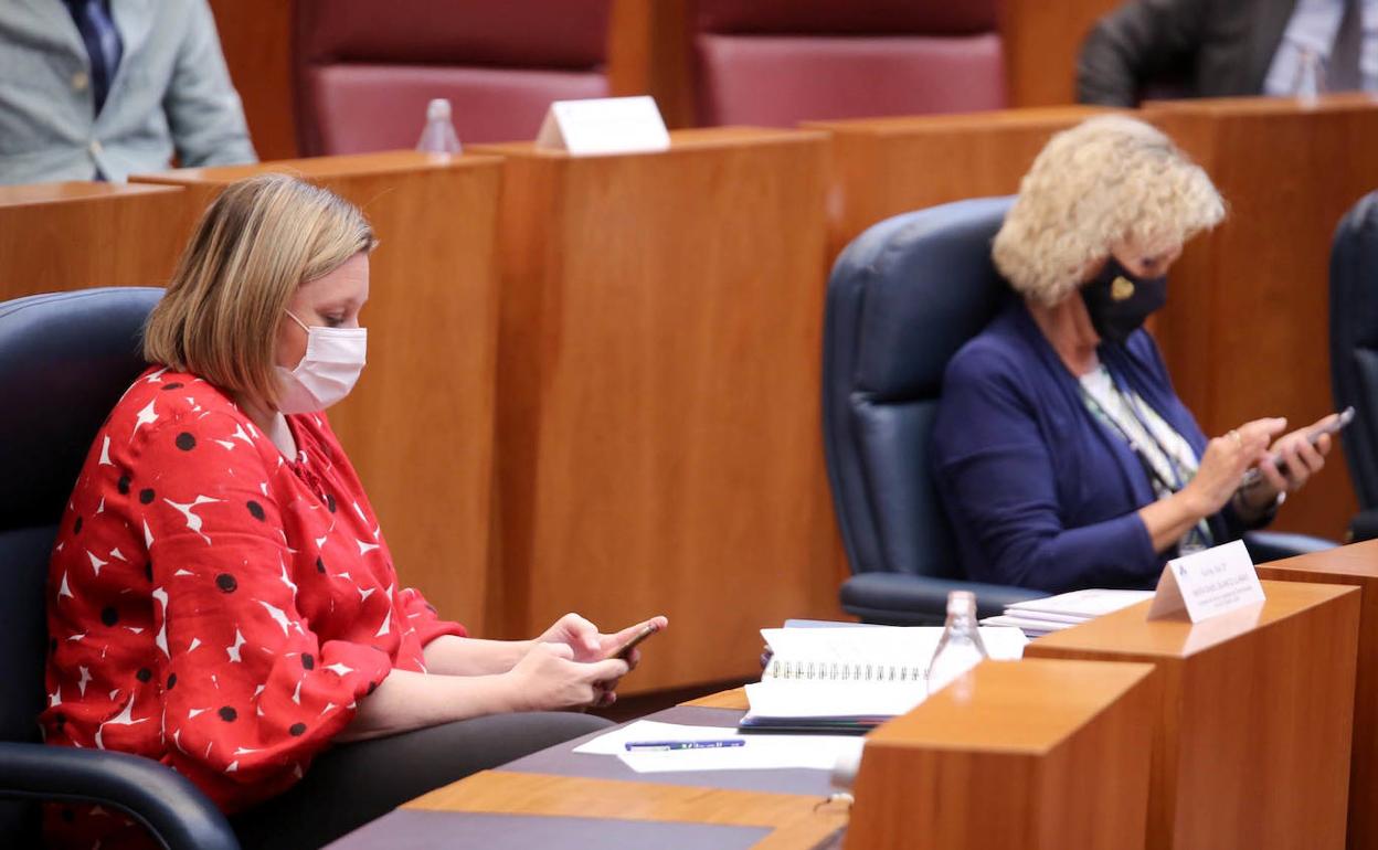 La consejera de Familia durante el Pleno.