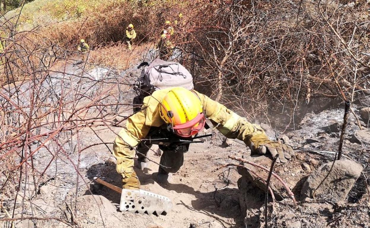 Brigadistas, durante un incendio forestal.