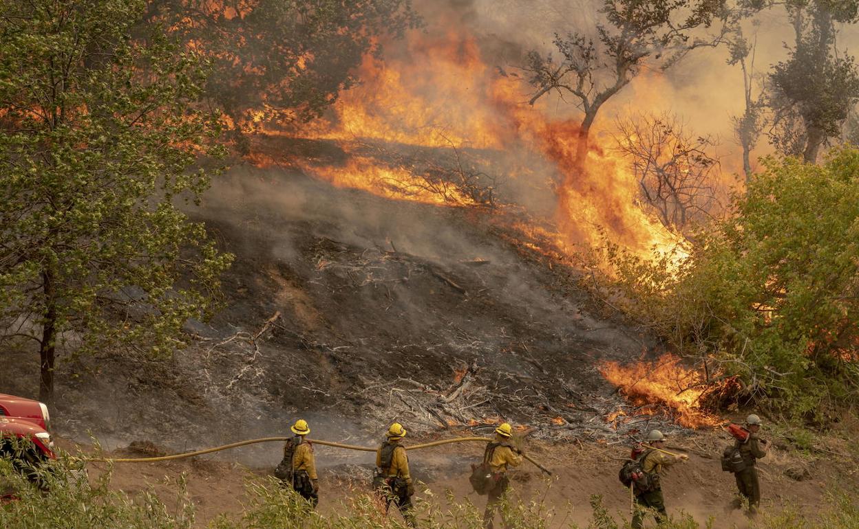 Bomberos trabajan en uno de los incendios. 