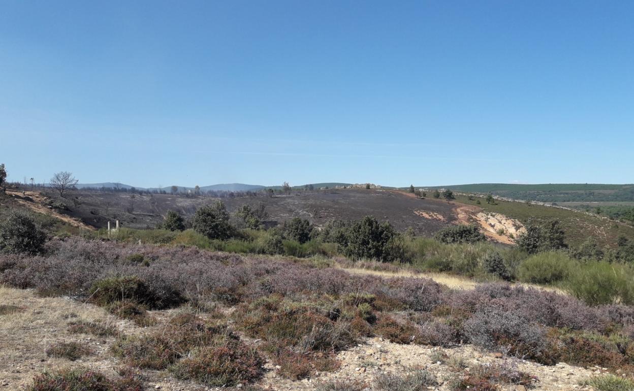 Incendio en Brazuelo, una vez que se ha dado por controlado.