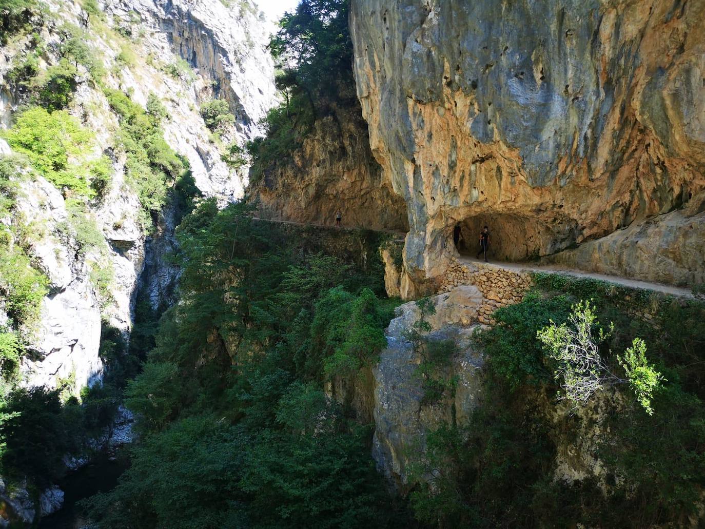 La Casona de Palmira, gastronomía y naturaleza en los Picos de Europa. 