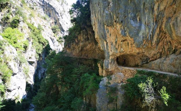 Imagen principal - La Casona de Palmira, gastronomía y naturaleza en el corazón de los Picos de Europa