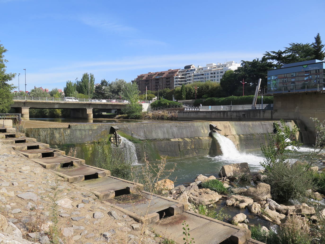 Especialistas trabajan en el tramo urbano del rio a la altura del Puente de los Leones. 