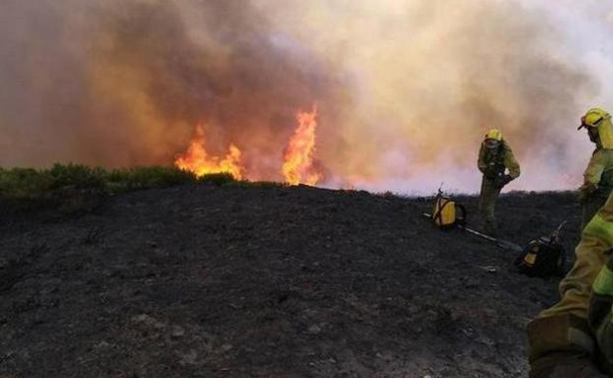 Imagen de archivo de la acción contra un incendio de las brigadas.