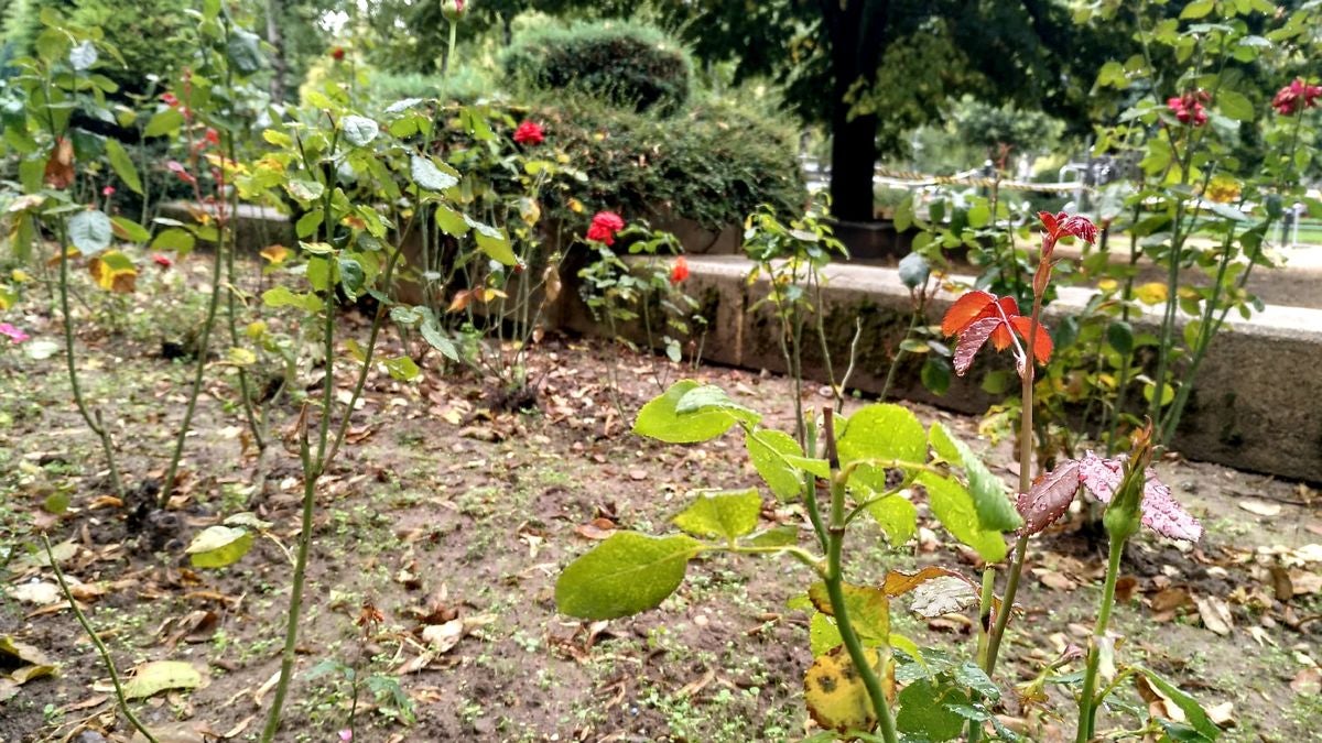 Fotos: El otoño llega el martes