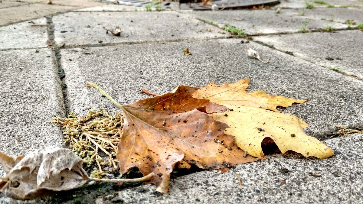 Fotos: El otoño llega el martes