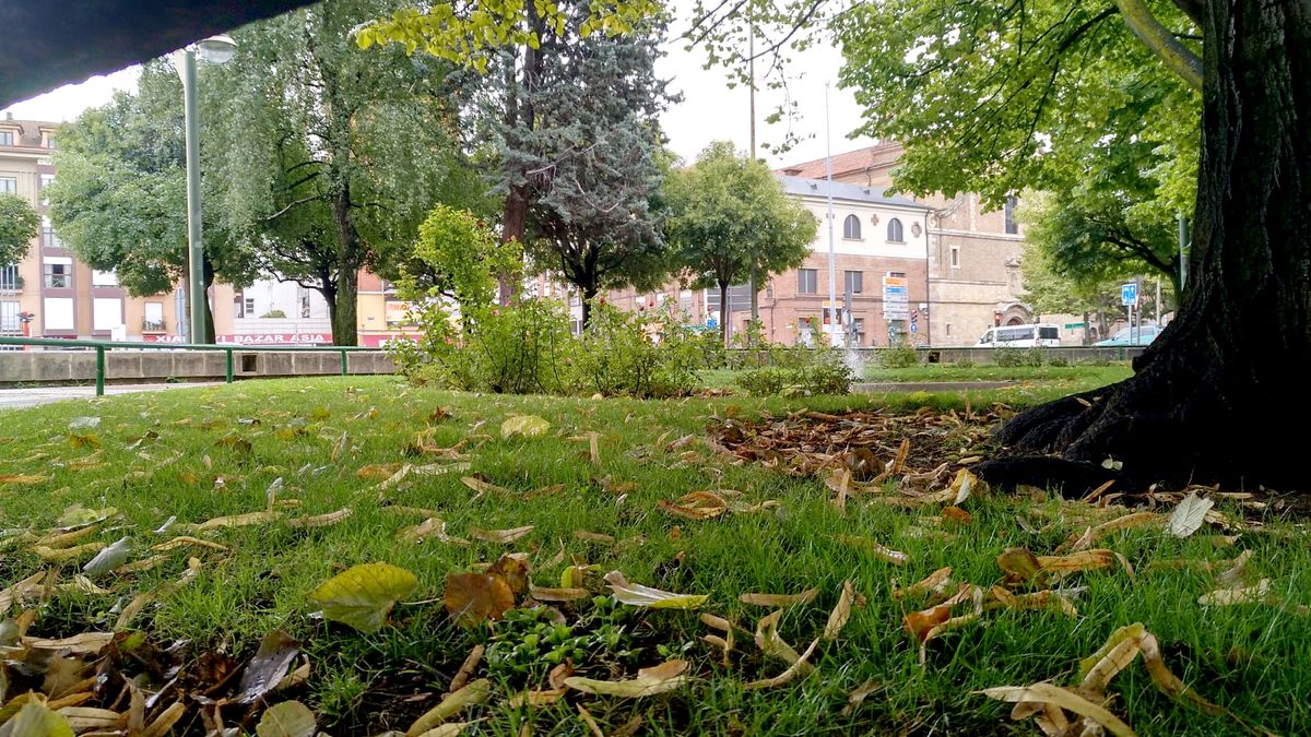 Fotos: El otoño llega el martes