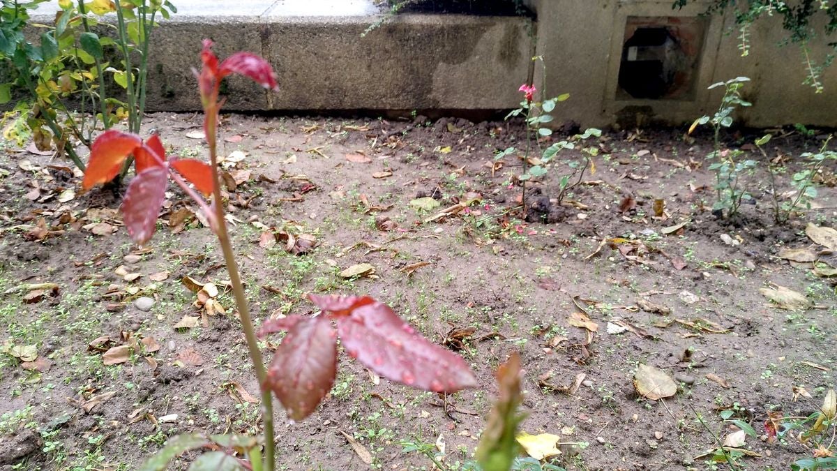 Fotos: El otoño llega el martes