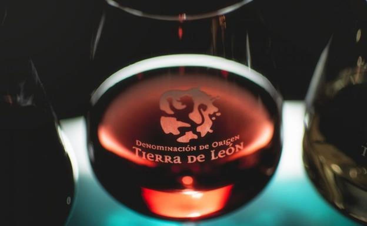 Vino de la DO León.