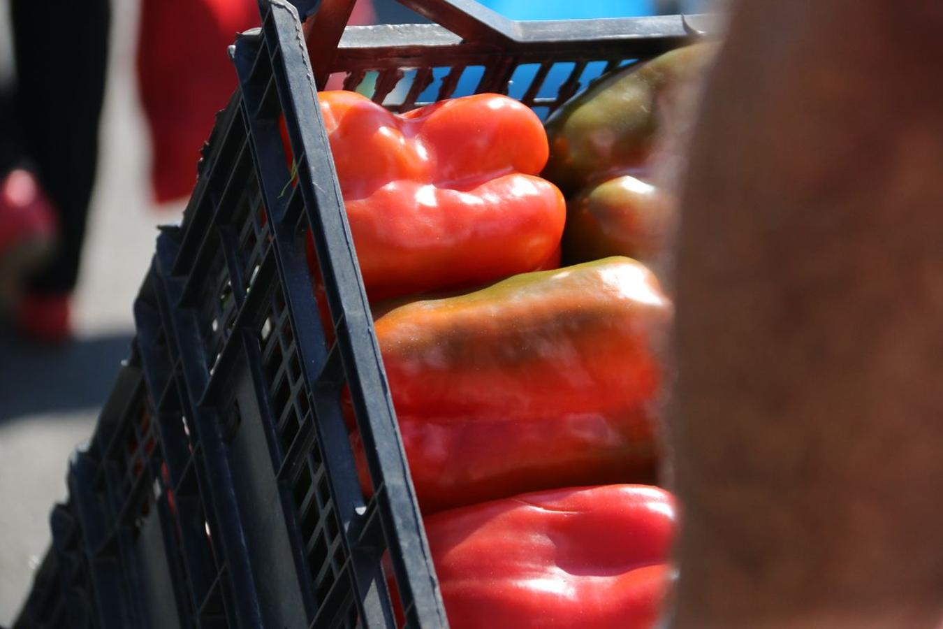 El pimiento de la huerta de Fresno de la Vega se caracteriza por su alta calidad y su gran sabor. 