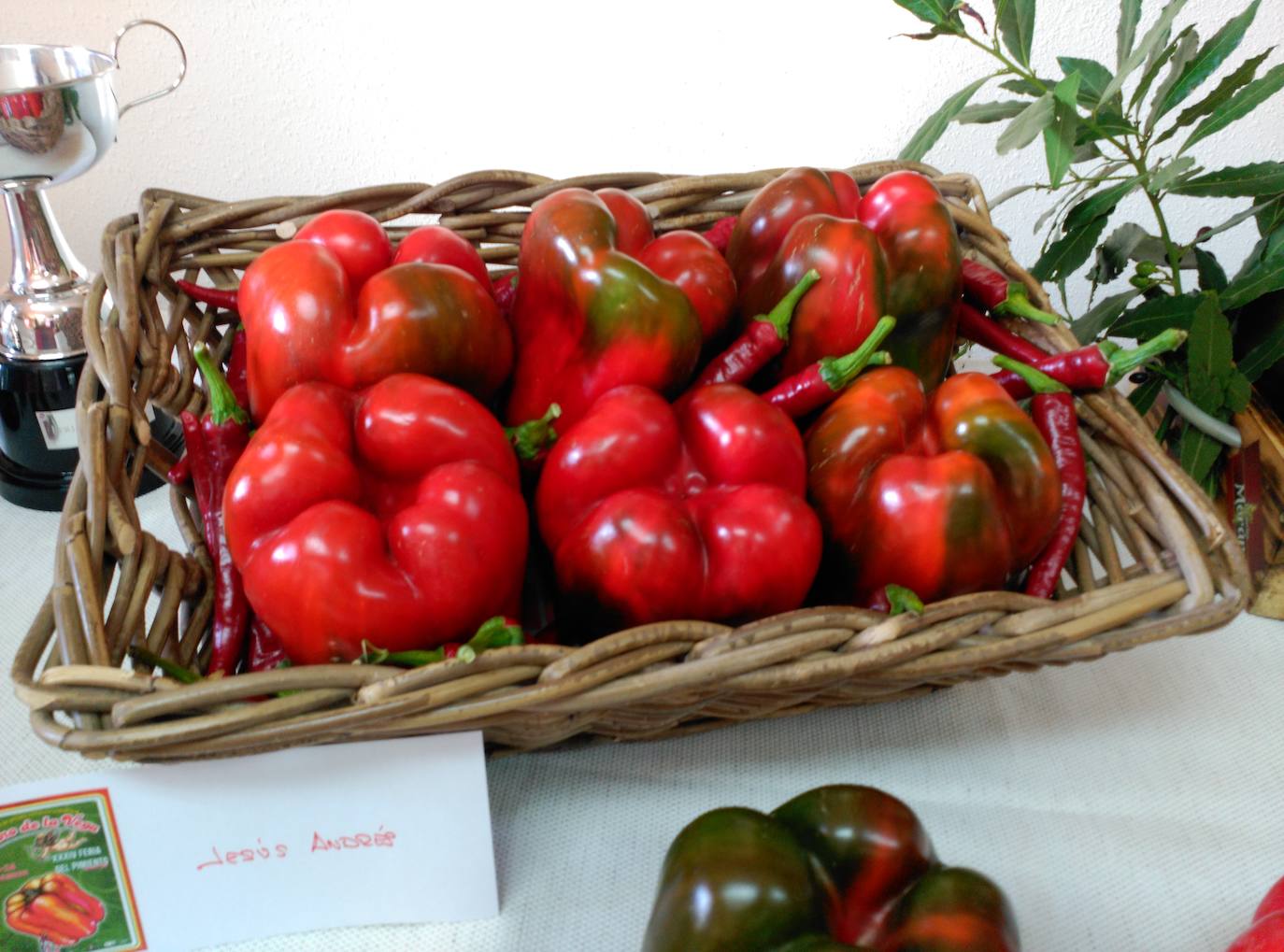 El pimiento de la huerta de Fresno de la Vega se caracteriza por su alta calidad y su gran sabor. 