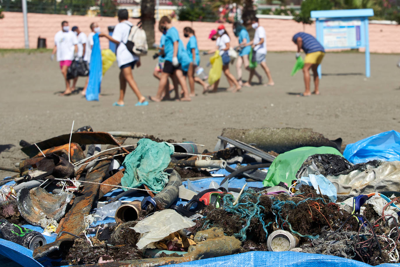 Centenares de voluntarios se suman a esta buena causa en defensa del medio ambiente.