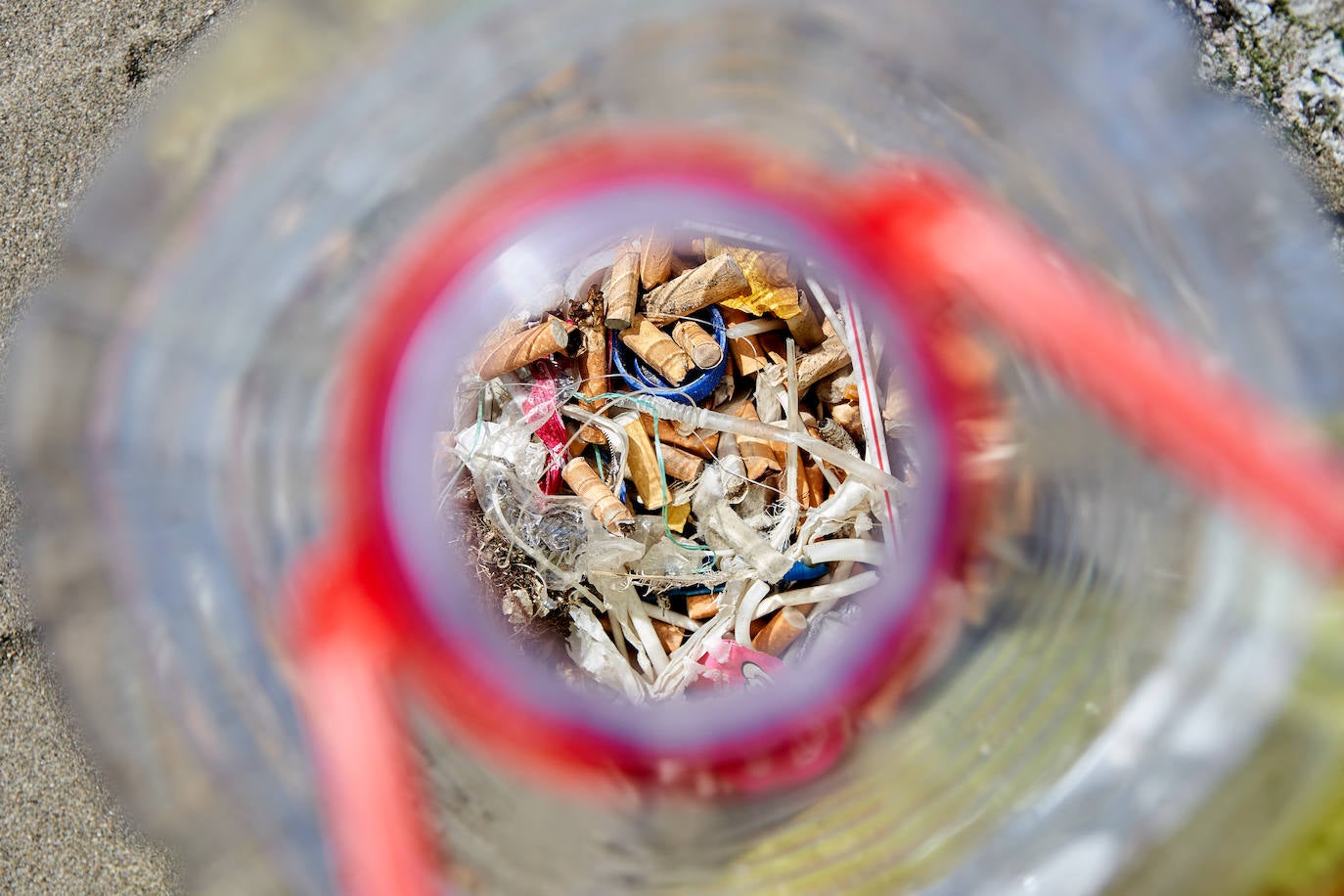 Centenares de voluntarios se suman a esta buena causa en defensa del medio ambiente.