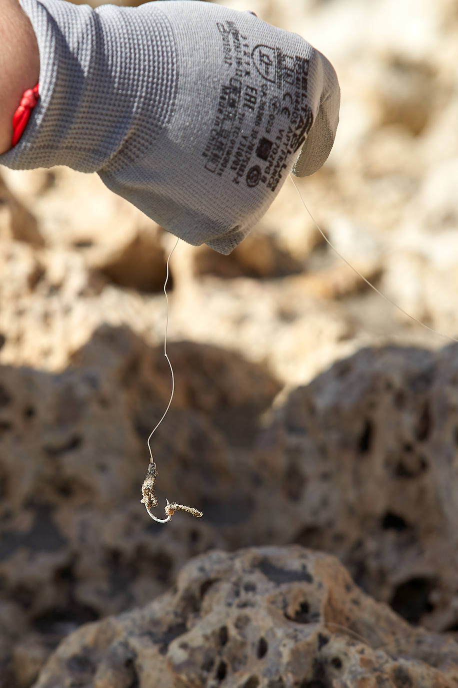 Centenares de voluntarios se suman a esta buena causa en defensa del medio ambiente.
