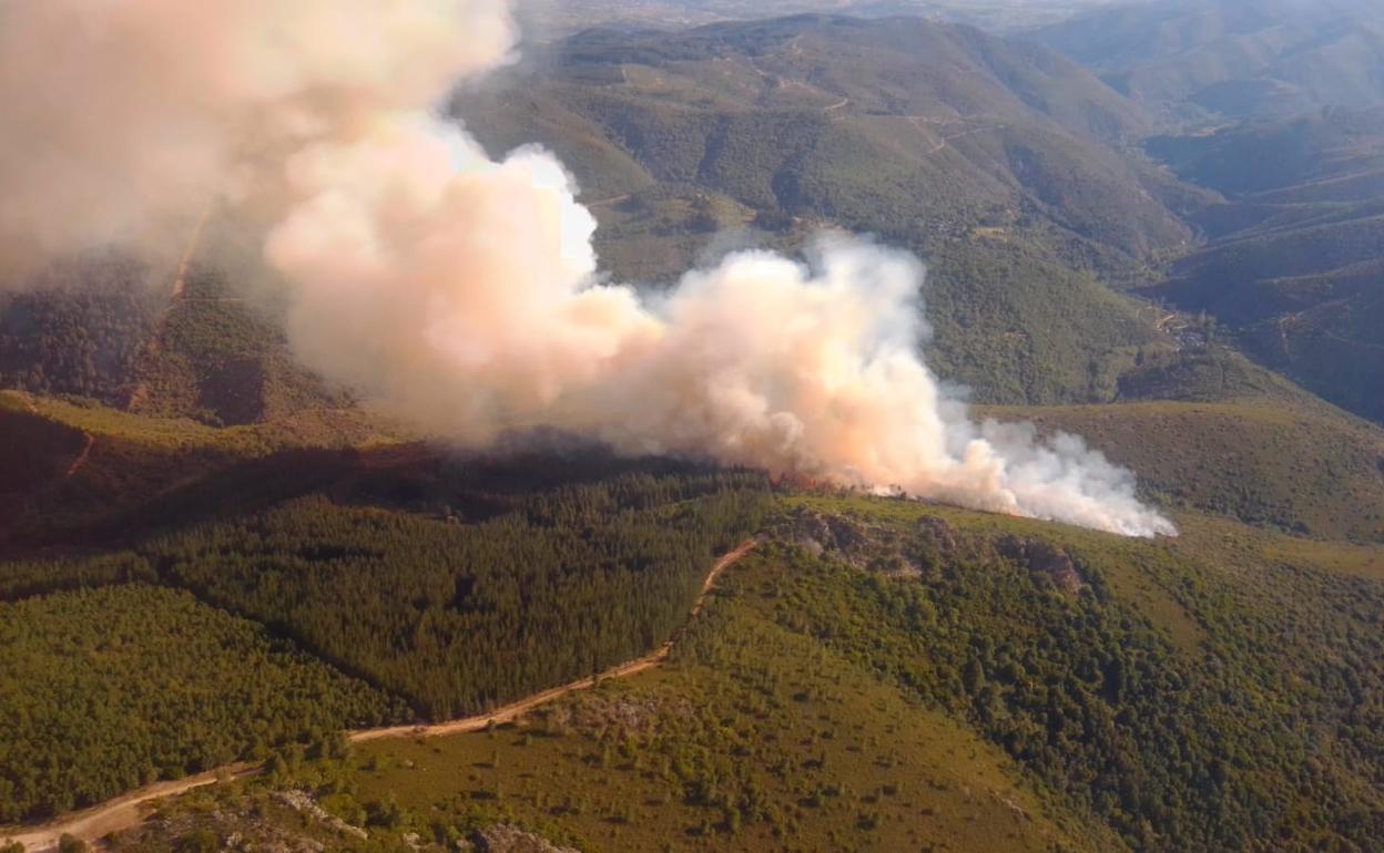 Imagen de archivo de un incendio provocado en la provincia de León.