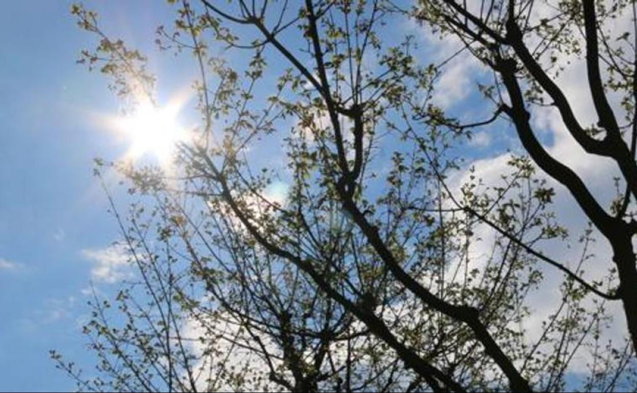 Imagen del sol en la provincia de León. 