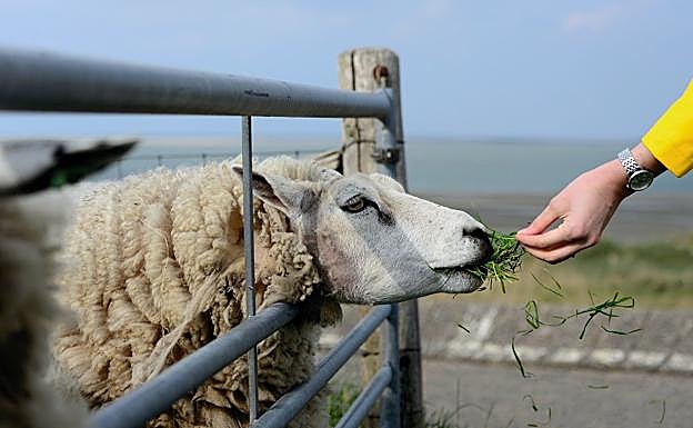 El paro se dispara en León, crece en 574 trabajadores y supera la barrera de los 31.000