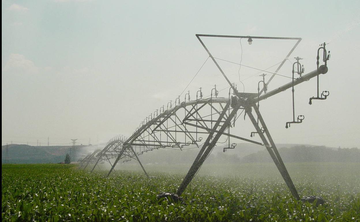 El objeto es completar la modernización de la Comunidad de Regantes del Canal del Páramo.