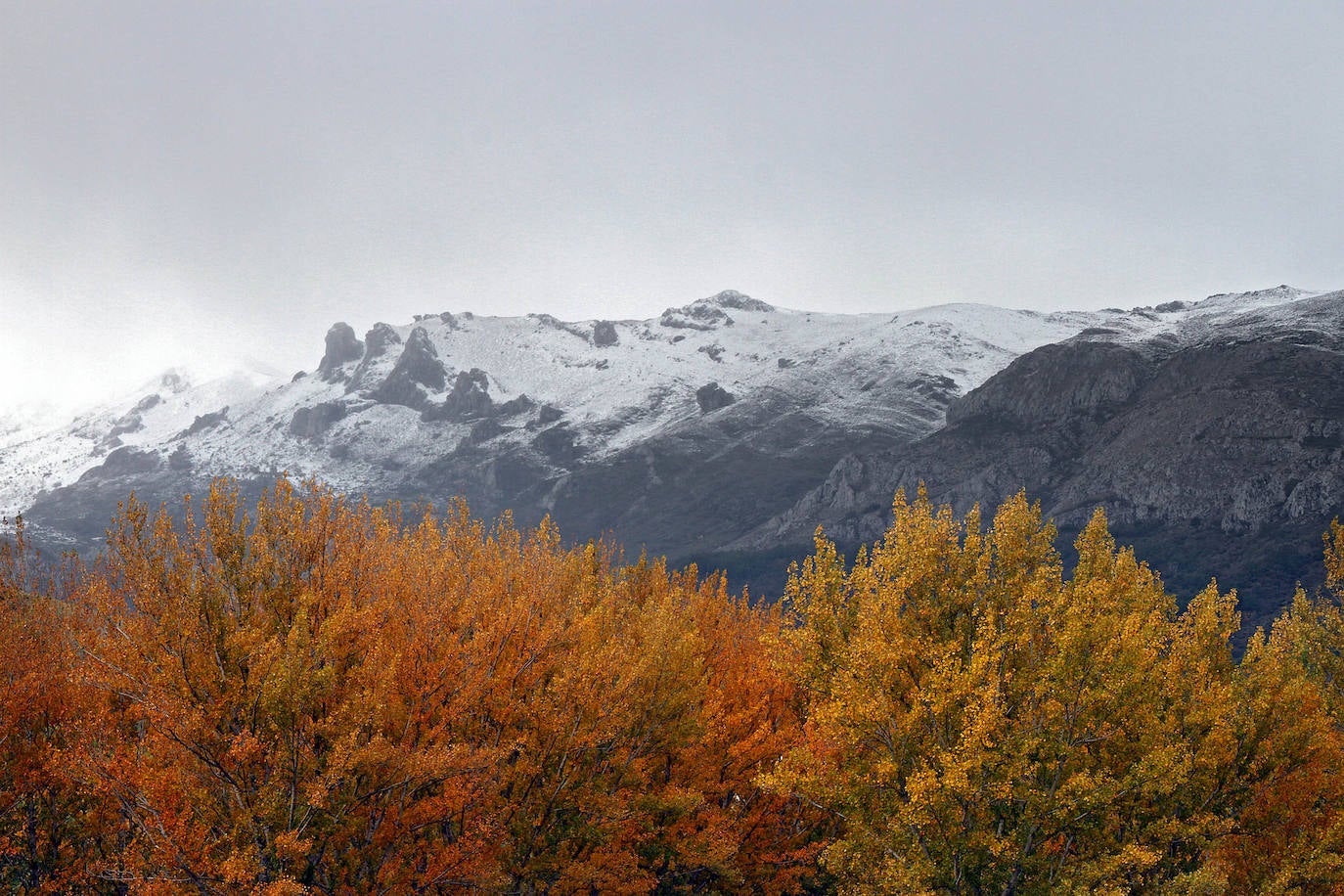 Fotos: La nieve en la provincia