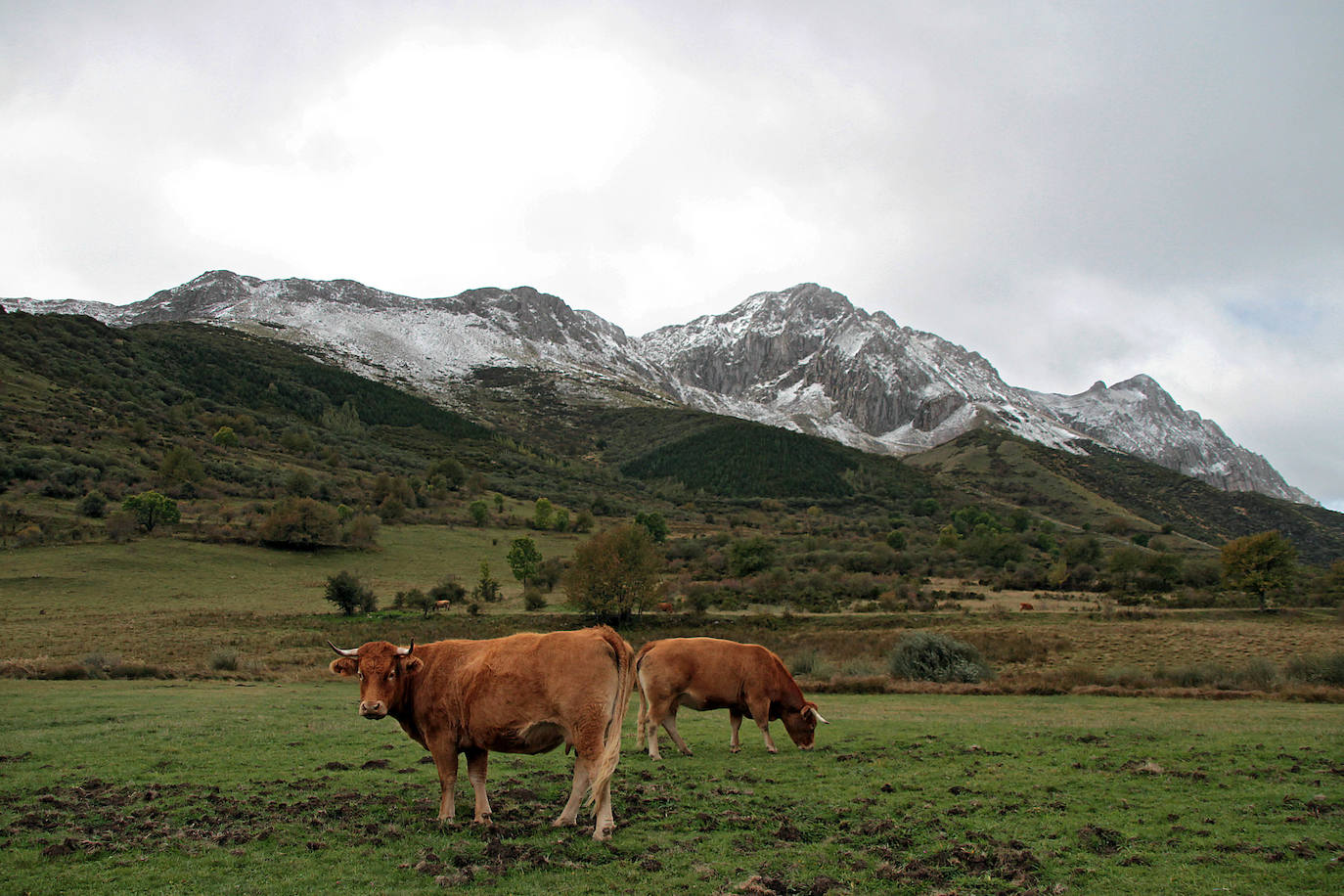 Fotos: La nieve en la provincia