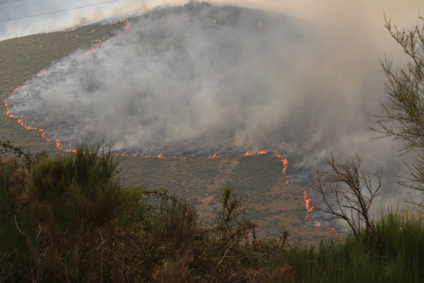 Fueron varios días de miedo, desolación y espanto para los vecinos de esta zona de la provincia de León.