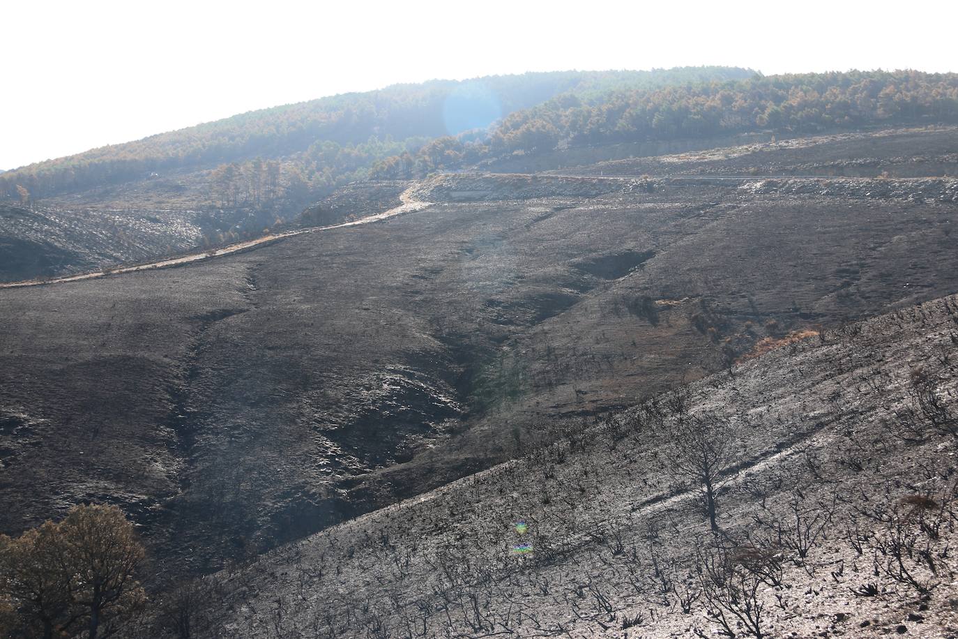 Fueron varios días de miedo, desolación y espanto para los vecinos de esta zona de la provincia de León.