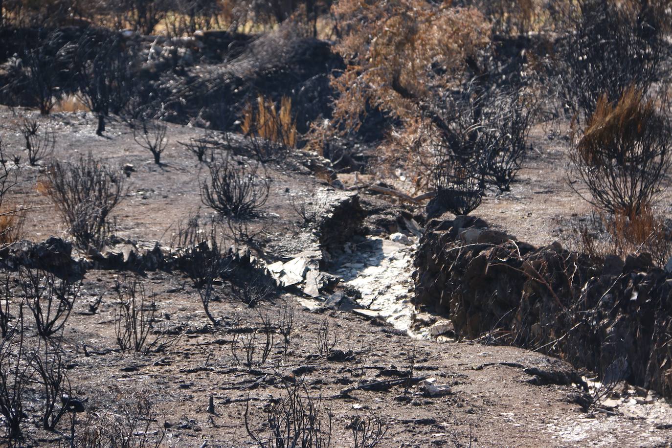 Fueron varios días de miedo, desolación y espanto para los vecinos de esta zona de la provincia de León.