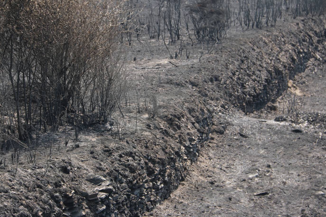 Fueron varios días de miedo, desolación y espanto para los vecinos de esta zona de la provincia de León.