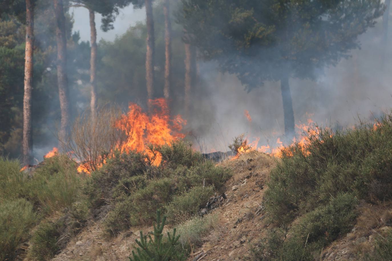 Fueron varios días de miedo, desolación y espanto para los vecinos de esta zona de la provincia de León.