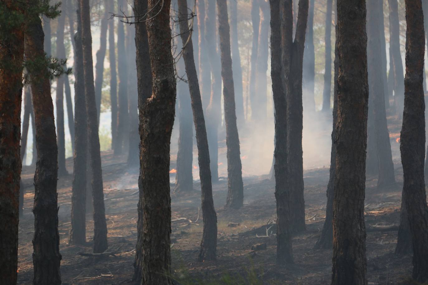 Fueron varios días de miedo, desolación y espanto para los vecinos de esta zona de la provincia de León.