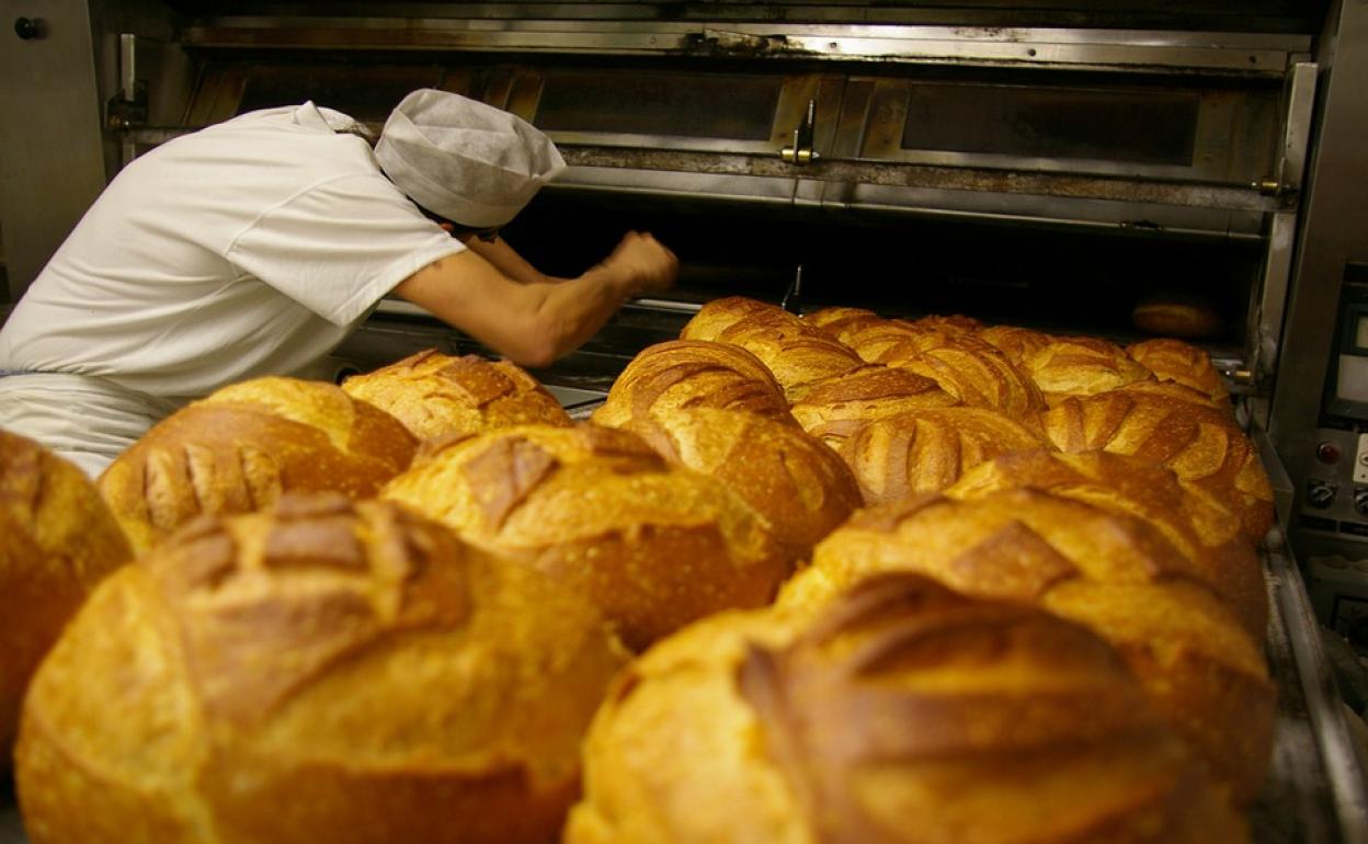 La sentencia gira sobre la compraventa de una empresa familiar destinada a trabajos de panadería.