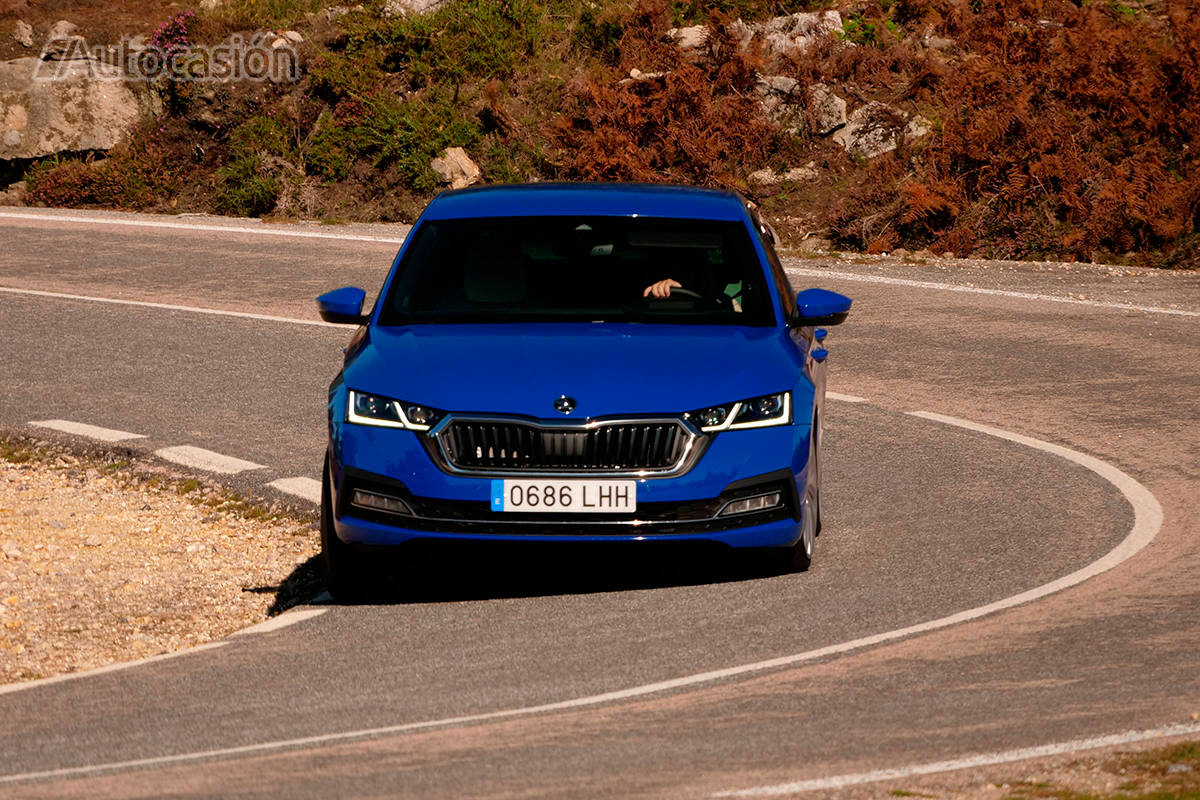 Fotos: Fotogalería: Skoda Octavia 1.5 TSi 2020