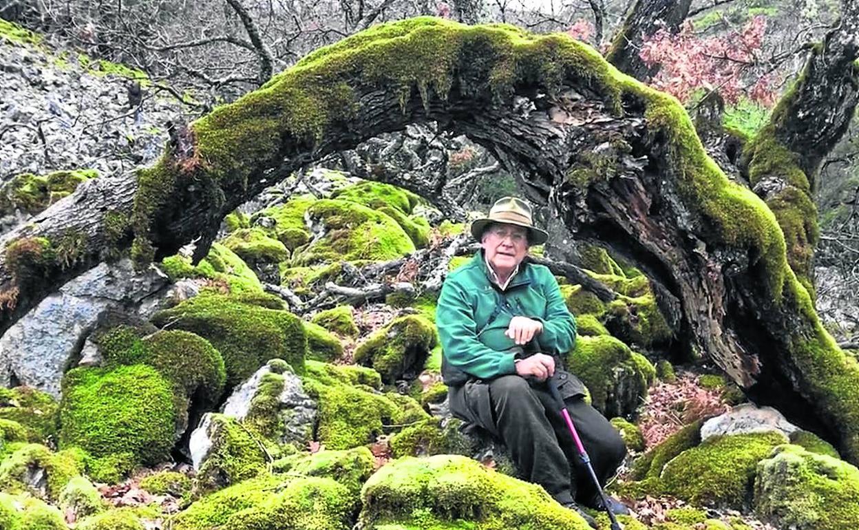 El dios creador de los bosques y los grelos extremeños