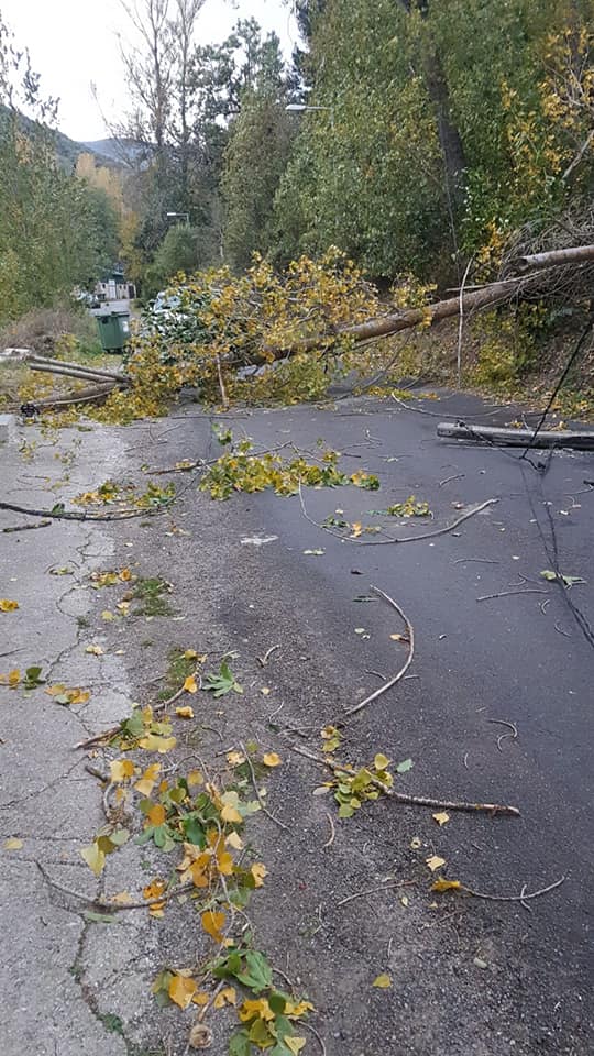 Fotos: La caída de árboles por las fuertas rachas de viento deja sin luz durante horas a los pueblos del Valle del Silencio