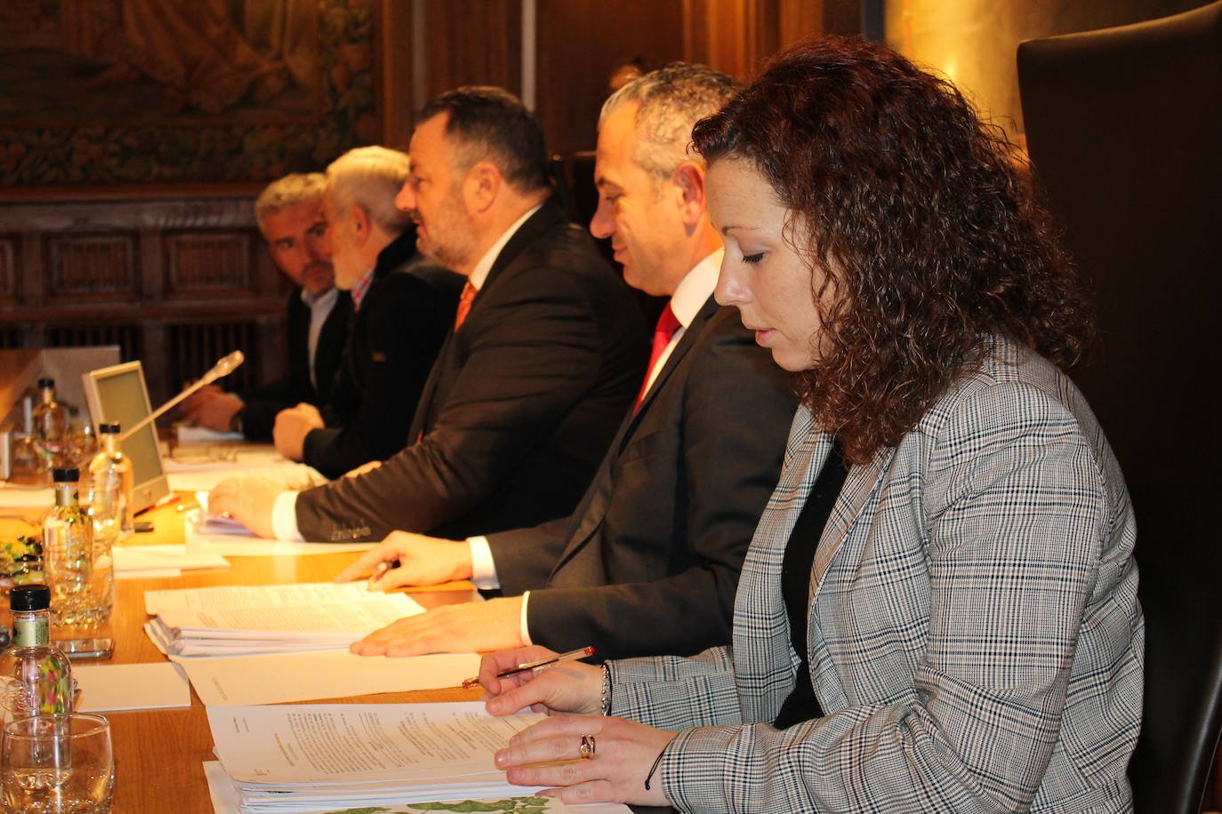 Vista de un pleno anterior en la Diputación de León. 