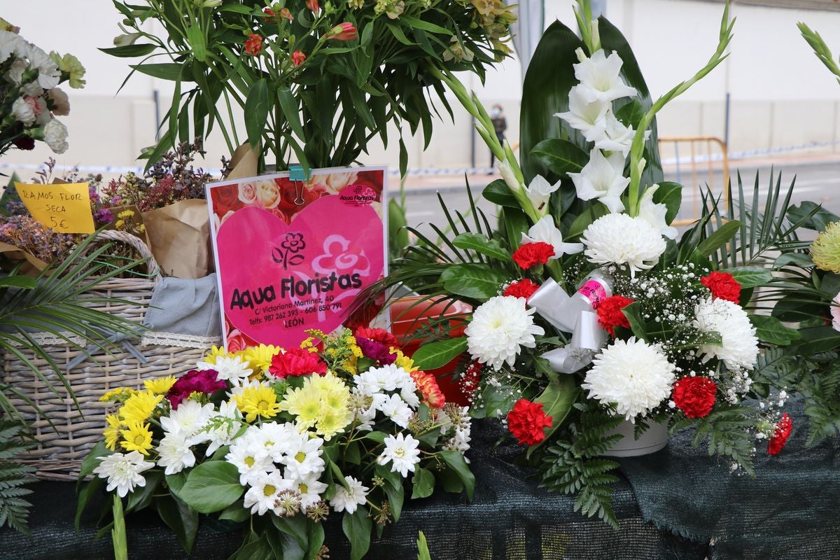 Fotos: Víspera de Todos los Santos en el cementerio de León