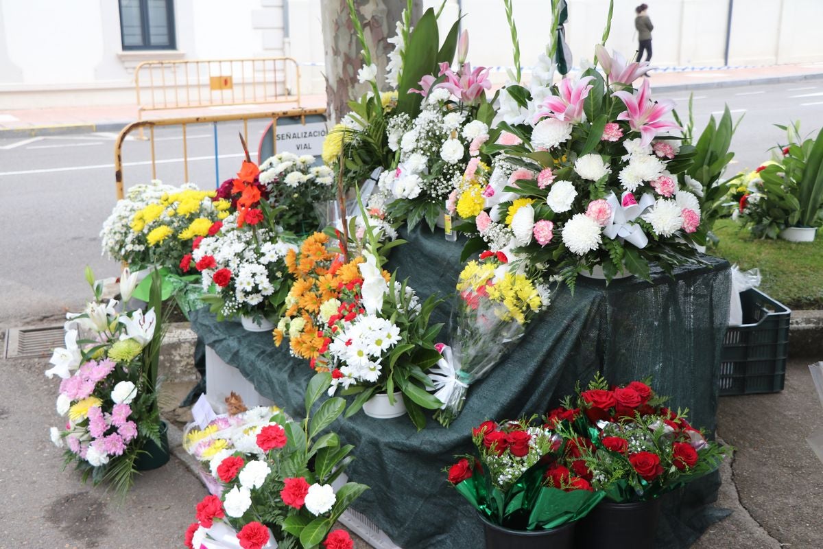 Fotos: Víspera de Todos los Santos en el cementerio de León