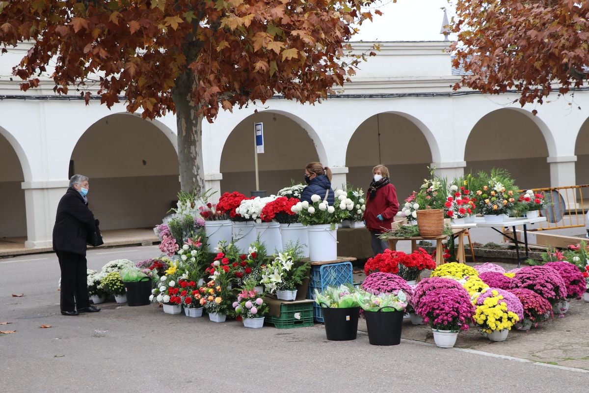 Fotos: Víspera de Todos los Santos en el cementerio de León