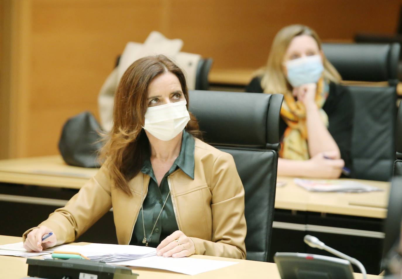 Pleno de las Cortes. 