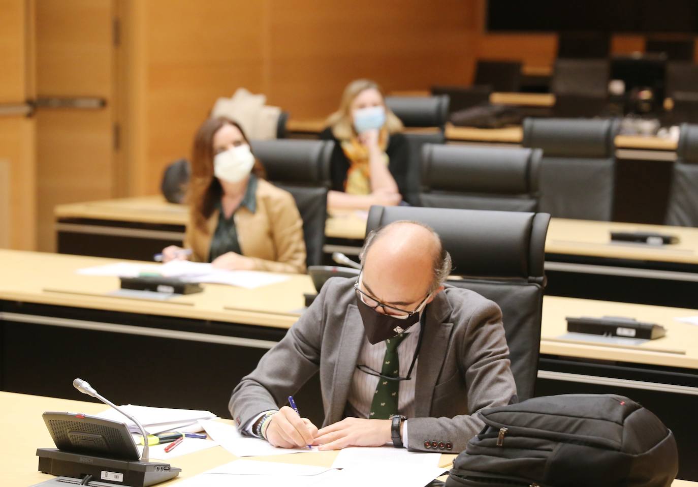 Pleno de las Cortes. 