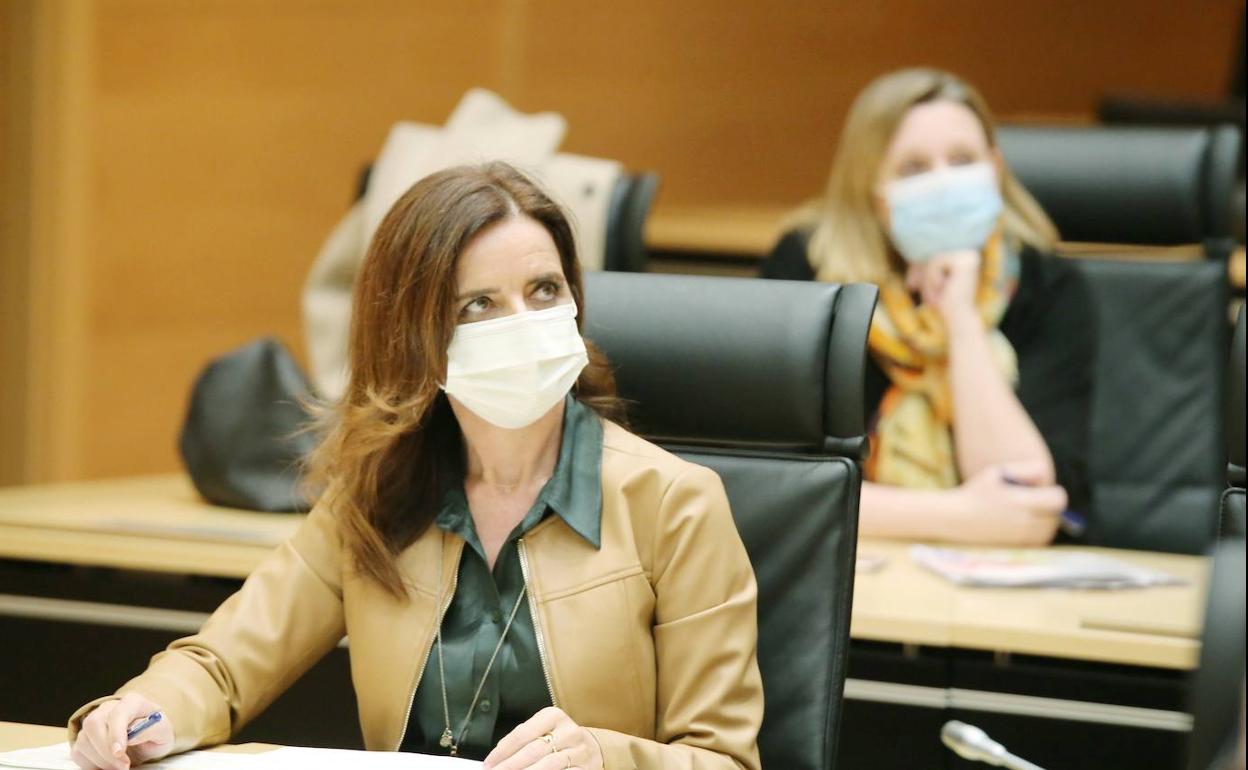 Ana Carlota Amigo, consejera de Empleo e Industria, en el pleno de Cortes.