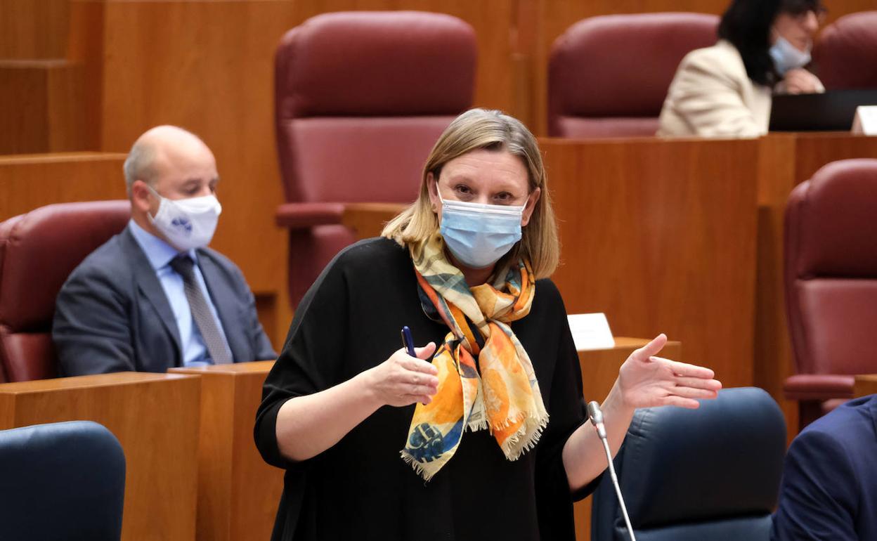 Isabel Blanco, consejera de Igualdad y Familia.