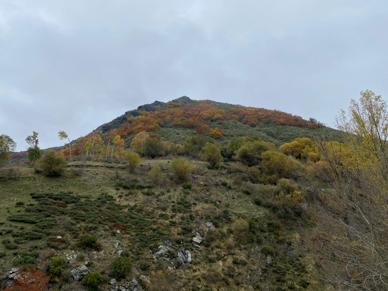 Imagen de la cascada del Reguero Cándano
